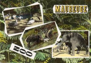 Zoo de Maubeuge