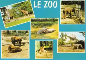 Le Zoo - 1974
