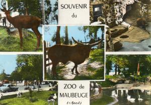 Zoo de Maubeuge - 1964