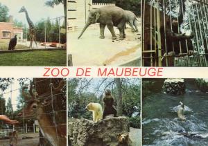 Le Zoo