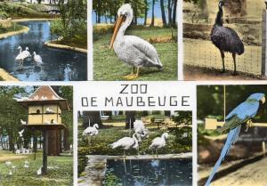 Souvenir du Zoo - 1964