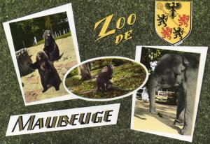 Zoo de Maubeuge - 1966