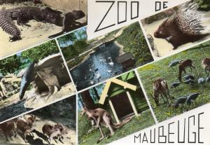 Souvenir du Zoo