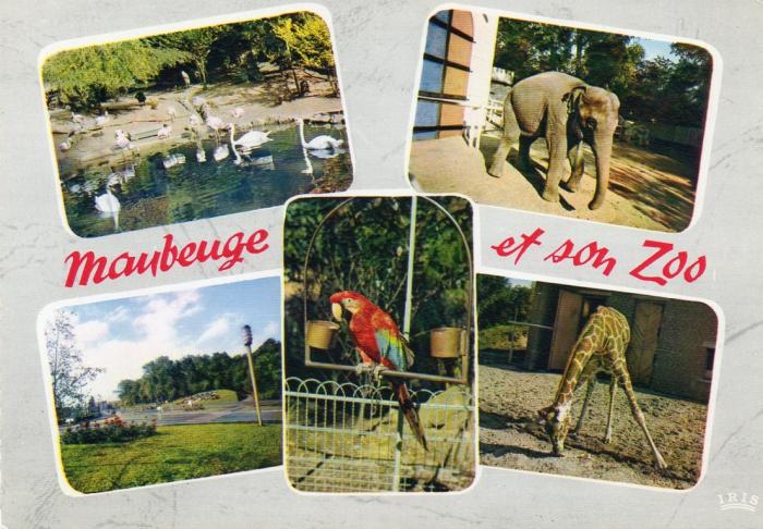 Les Flamants - L'Eléphant - Un Perroquet - La Girafe