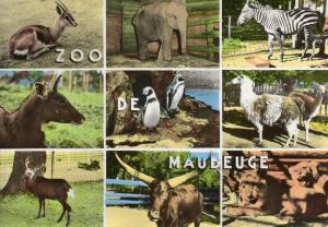 Souvenir du Zoo