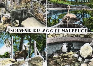Souvenir du Zoo