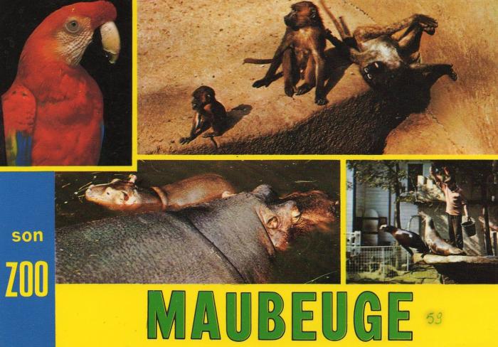 Le Perroquet - Les singes - Les hippopotames - Les otaries