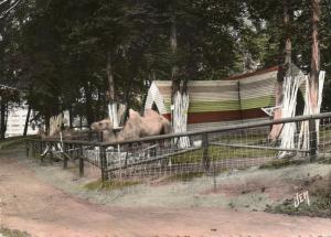 Le Jardin Zoologique - 1960
