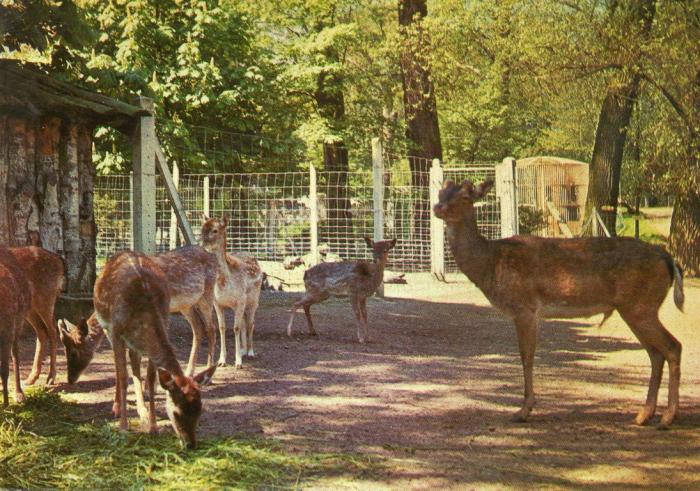 Le Zoo - 1973