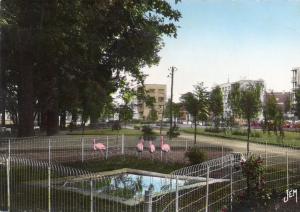 Le Jardin Zoologique - 1959