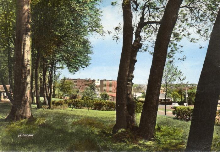 Sous-bois du Zoo - 1985