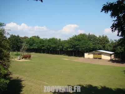 Plaine africaine - 2011