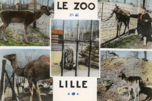 Le zoo - 1964