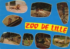 Le zoo - 1977