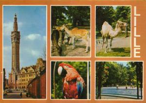 Le beffroi - Le zoo