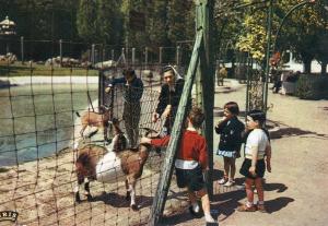 Le jardin des enfants