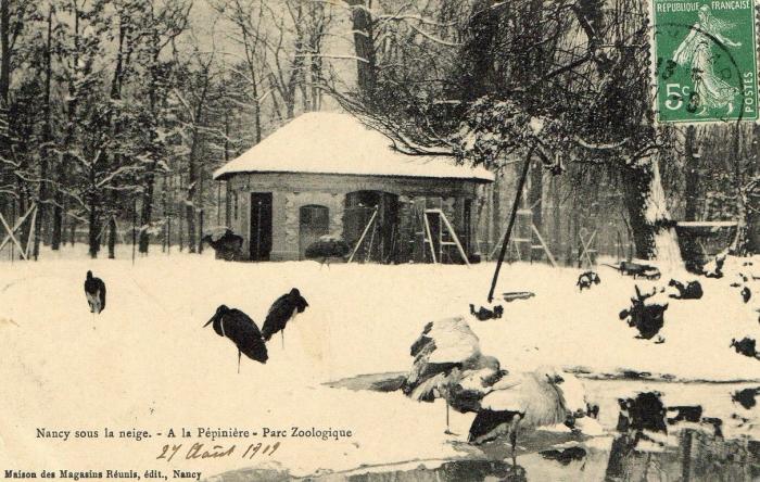 Nancy sous la neige - Parc Zoologique - 1909