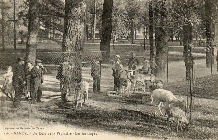 Un coin de la Pépinière - Les Antilopes - 1918