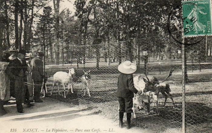 Parc aux cerfs