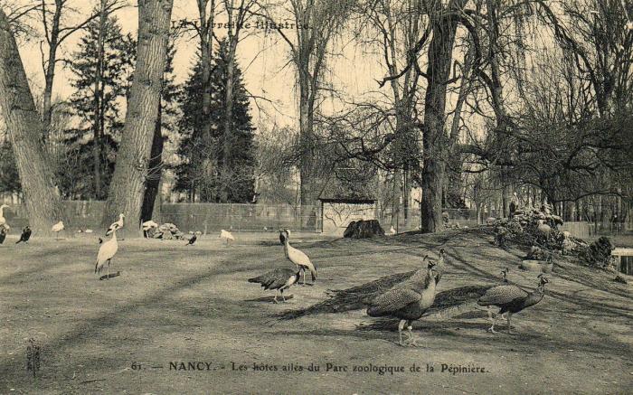 Les hôtes ailés du Parc Zoologique de la Pépinière