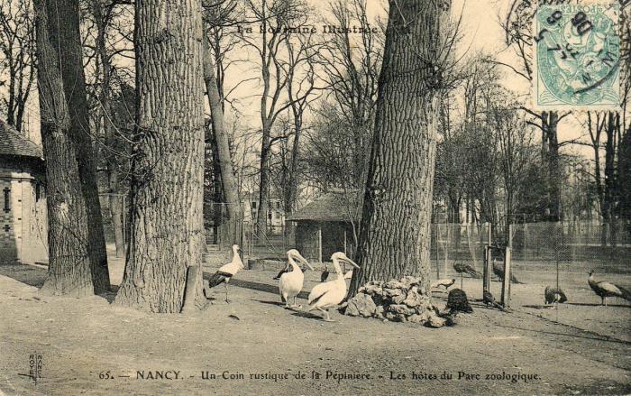 Un coin rustique de la Pépinière - Les hôtes du Parc zoologique  - 1906