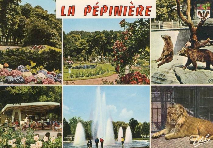 La Pépinière - Les Ours, un des Lions