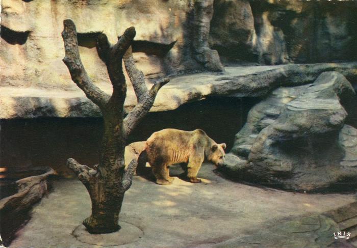 Fosse d'Ours au Parc de la Pépinière