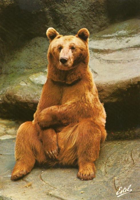 Une personnalité du Parc Zoologique