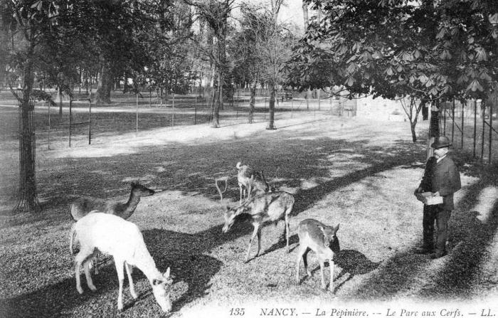 Le Parc aux cerfs - 1917