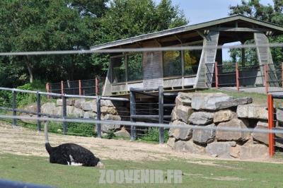 Plaine africaine - 2011