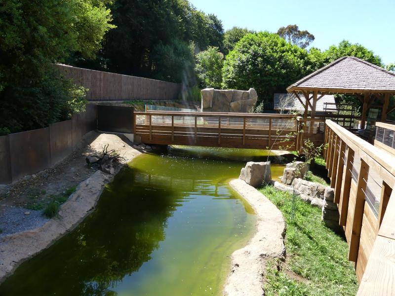 Castor - Loutre d'Europe - 2023