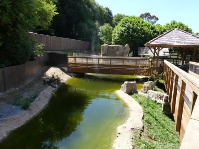 Castor - Loutre d'Europe - 2023