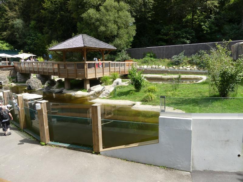 Castor - Loutre d'Europe - 2023