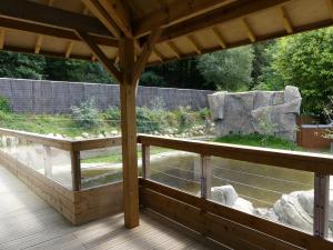 Espace: Castor - Loutre d'Europe