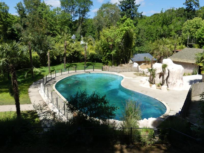 Phoque commun - 2023