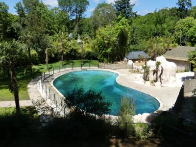 Phoque commun - 2023