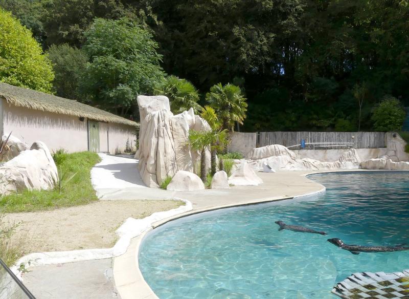 Phoque commun - 2023