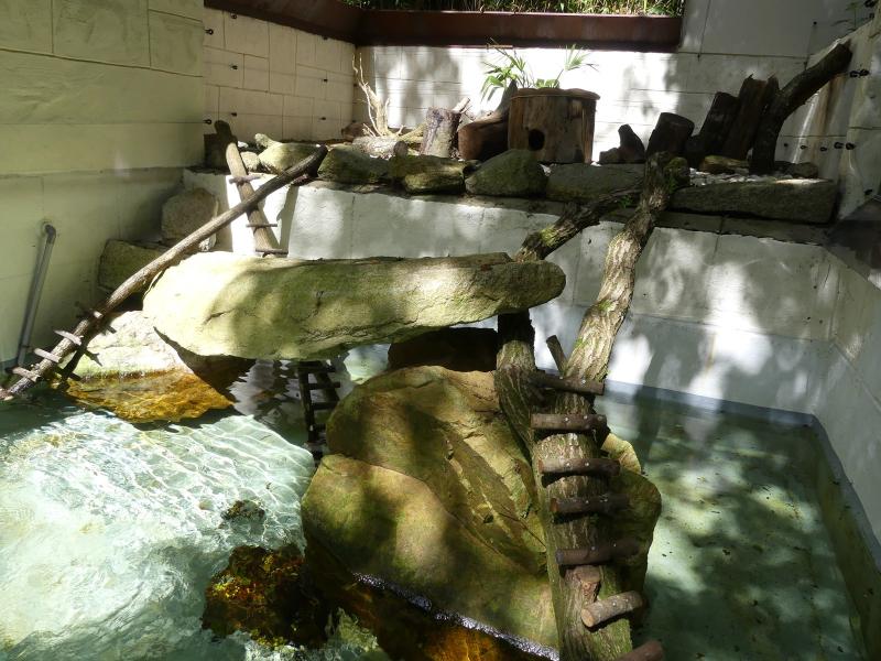 Vison d'Europe - 2023