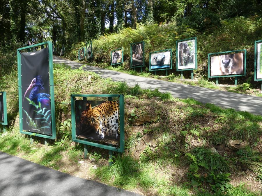 Exposition photographique