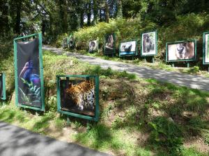 Exposition photographique