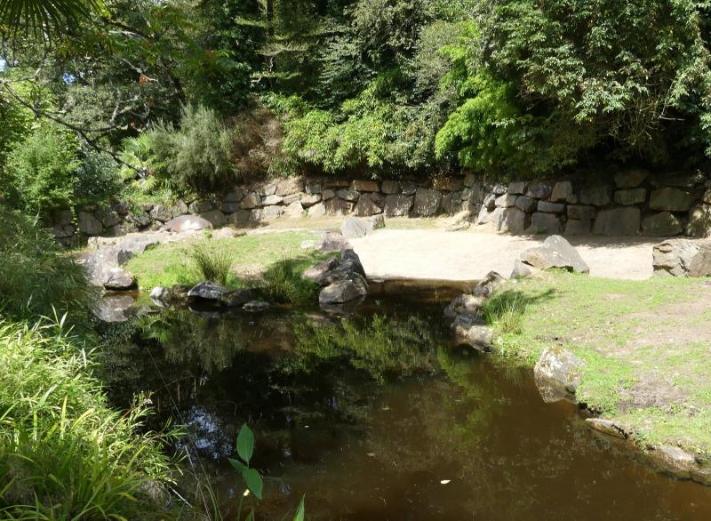 Hippopotame amphibie - 2023