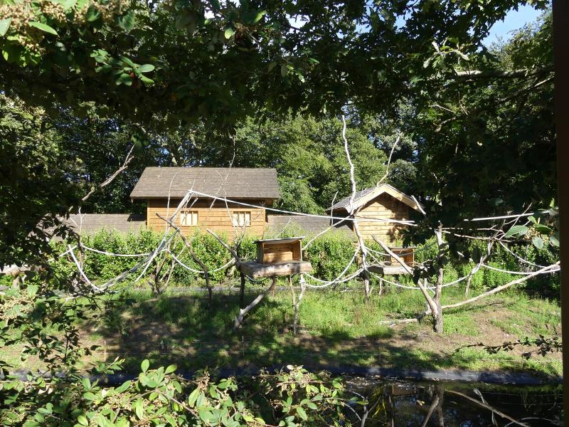 Lémur courronnée - 2023