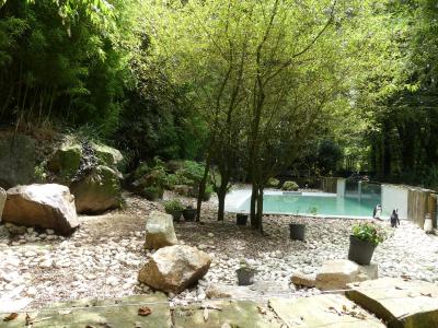 Manchot du Cap - 2023