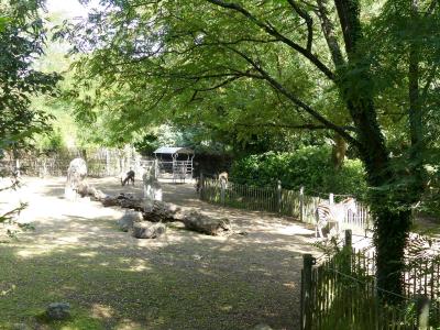 Plaine africaine - 2023