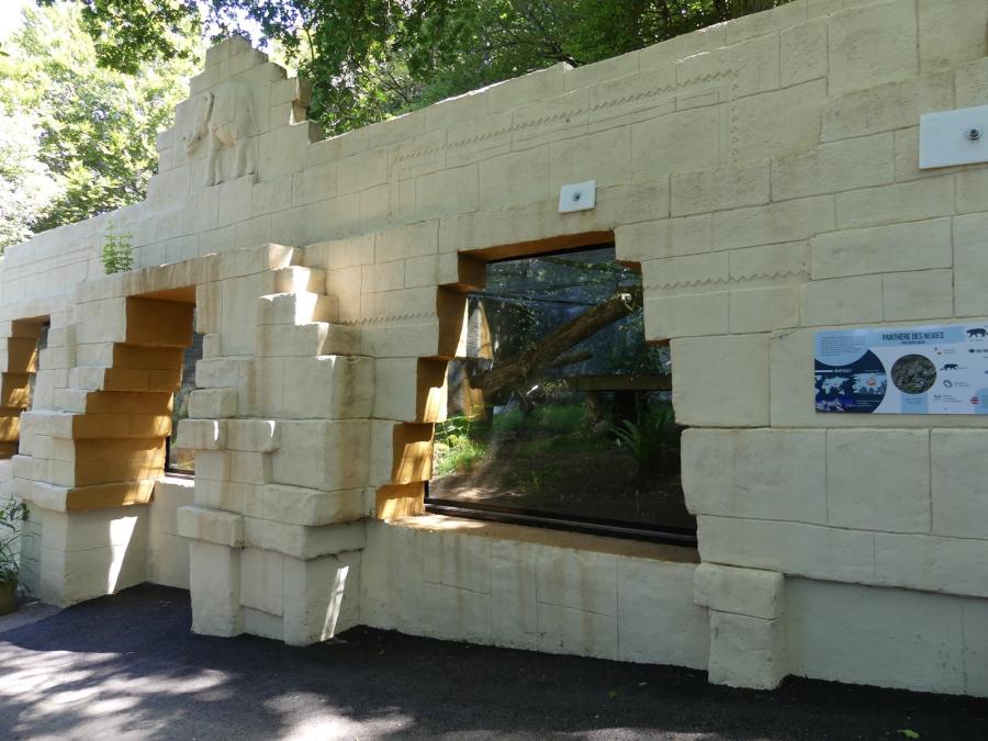 Panthère des neiges