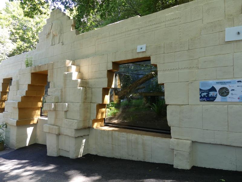 Panthère des neiges - 2023