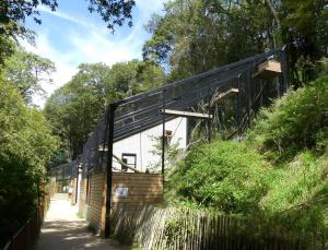 Panthère longibande