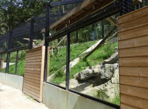 Panthère longibande