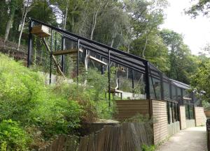 Panthère longibande