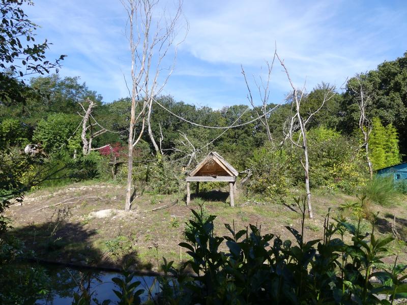 Atèle de Geoffroy - 2023
